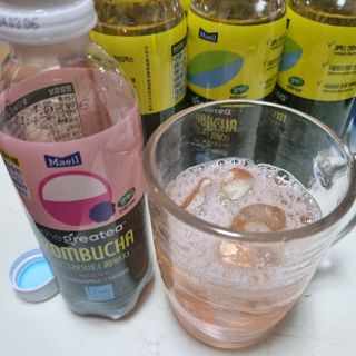 더그레잇티 콤부차 [매일유업] 더그레잇티 44kcal 콤부차 300ml *12개입 (오리지널 6개+베리리치 6개) — 5점을 준 리뷰어가 2023년 7월 올린 사용 사진