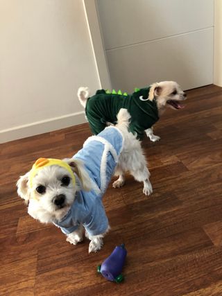 쫑쫑님이 올린 리뷰 사진 4