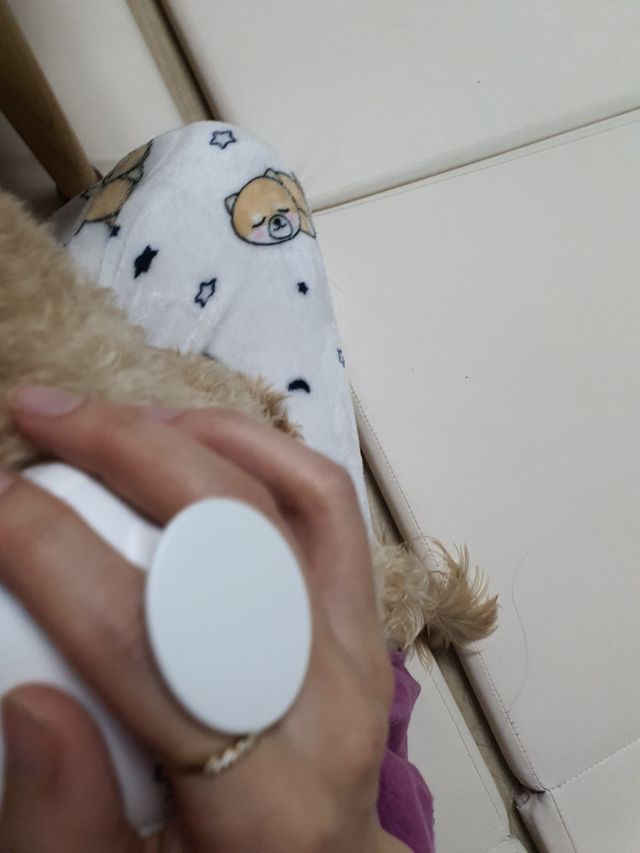 자극 없이 털/각질 관리가 가능한 코코몰리 실리콘 목욕 브러쉬 리뷰 사진