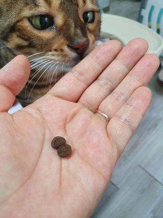 윤짱님이 올린 리뷰 사진 2