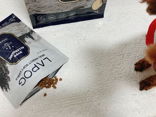 [푸디웜] 라포그 리얼인섹트 소프트키블 스킨 1KG — 5점을 준 리뷰어가 2022년 9월 올린 사용 사진