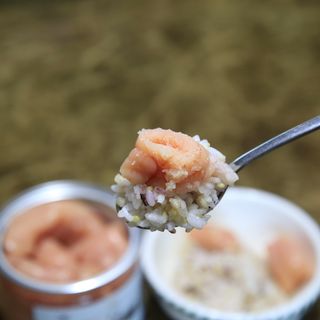 계절어부 72 백명란 — 5점을 준 리뷰어가 2021년 6월 올린 사용 사진