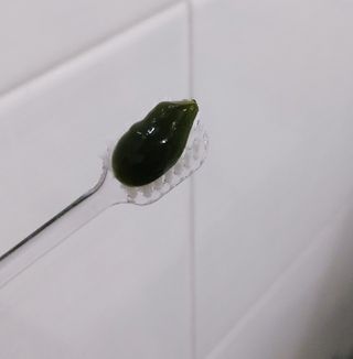 프리마인 유해균 뿐만 아니라 유익균까지 씻어내는 치약은 그만, 건강한 구강환경을 만드는 덴탈엔오 — 5점을 준 리뷰어가 2022년 4월 올린 사용 사진