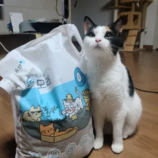 루잉루잉님이 올린 리뷰 사진 1