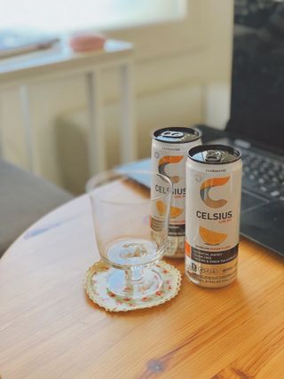 셀시어스 오리지널 325ml 에너지 비타민 피트니스 드링크(24can) 다이어트 음료 — 5점을 준 리뷰어가 2022년 5월 올린 사용 사진