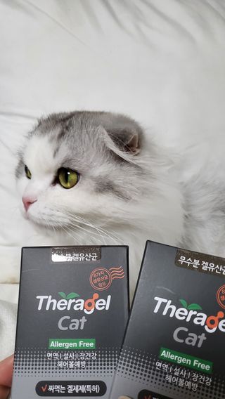 수콩님이 올린 리뷰 사진 1