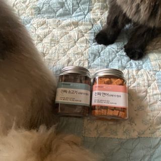 페페로니 진짜 오메가3 연어+소고기 180g+180g — 4.5점을 준 리뷰어가 2021년 7월 올린 사용 사진
