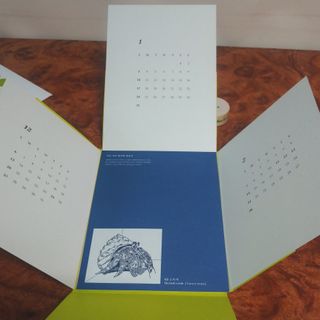 콜린스 2021 엽서 캘린더와 마스킹 테이프 3종 — 5점을 준 리뷰어가 2020년 12월 올린 사용 사진