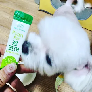 뿌꾸님이 올린 리뷰 사진 1