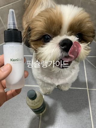 박코끼리님이 올린 리뷰 사진 1