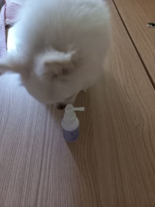 희야님이 올린 리뷰 사진 4