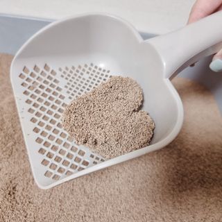 딩디리딩님이 올린 리뷰 사진 4