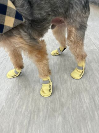 꿀님이 올린 리뷰 사진 2