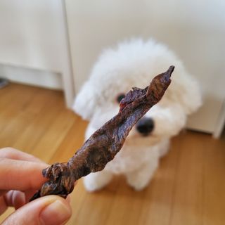 투브로님이 올린 리뷰 사진 2