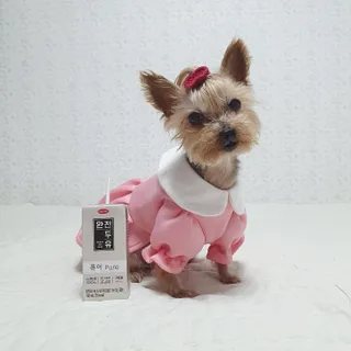 솜희님이 올린 리뷰 사진 3