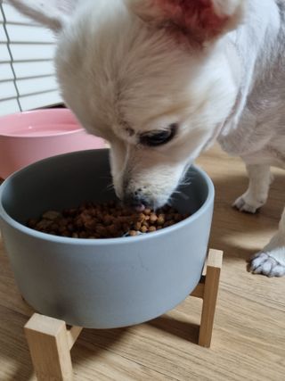 임예슬님이 올린 리뷰 사진 3