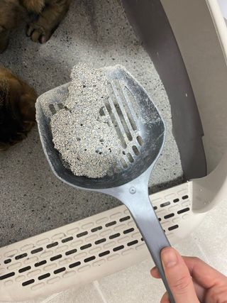 삼김조아조아님이 올린 리뷰 사진 3