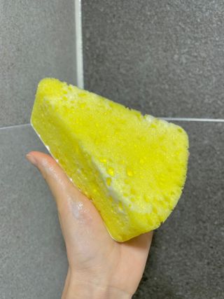 얄라리님이 올린 리뷰 사진 2