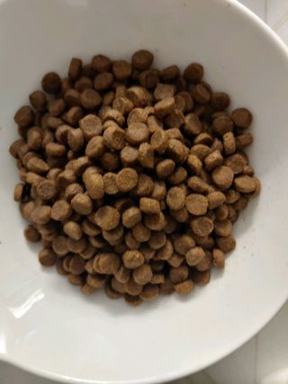 kijoco님이 올린 리뷰 사진 2