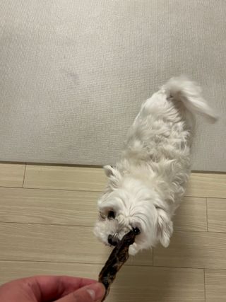 율하댁님이 올린 리뷰 사진 3