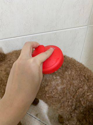 짱아둥이님이 올린 리뷰 사진 2