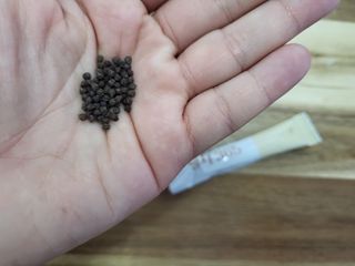 수니니님이 올린 리뷰 사진 4