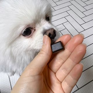 오랑이님이 올린 리뷰 사진 4
