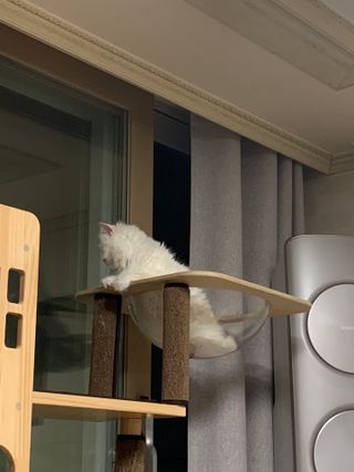 ㄹ진님이 올린 리뷰 사진 3