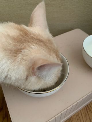 리나님이 올린 리뷰 사진 2
