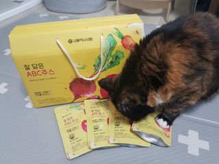 솔탄이love님이 올린 리뷰 사진 2