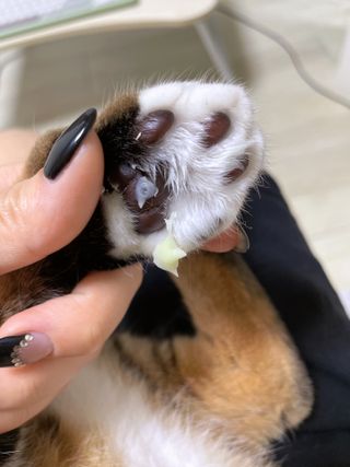 김나비님이 올린 리뷰 사진 2