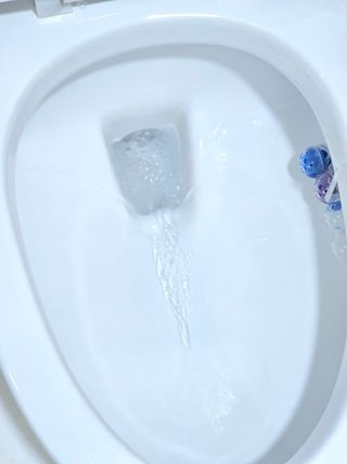 박꽃님이 올린 리뷰 사진 3