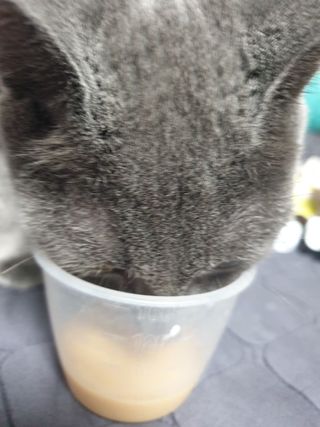 이승진님이 올린 리뷰 사진 4