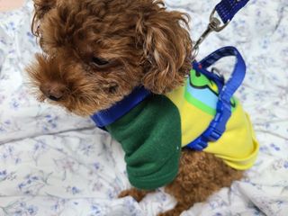 연이님이 올린 리뷰 사진 3