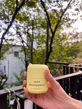 Lucy님이 올린 리뷰 사진 4