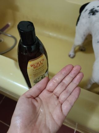 옴뇸뇸님이 올린 리뷰 사진 2
