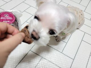 두부님이 올린 리뷰 사진 1
