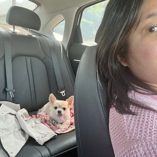 Lucy님이 올린 리뷰 사진 3