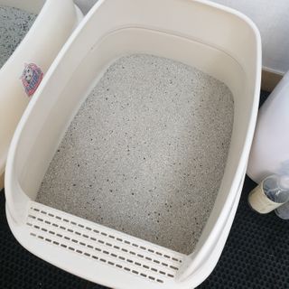 겟플렉스 켓플렉스 캣츠룸BS-1 고양이모래 4kg — 4점을 준 리뷰어가 2021년 2월 올린 사용 사진