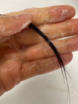 담아님이 올린 리뷰 사진 3