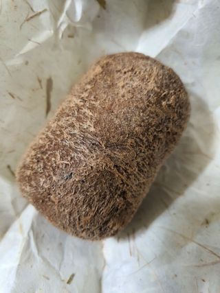 함함함금빛남님이 올린 리뷰 사진 3