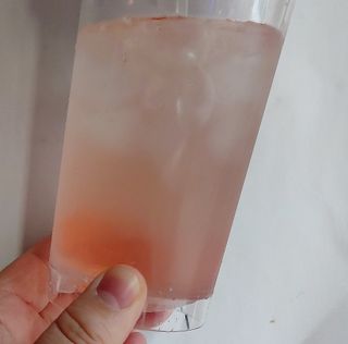 더그레잇티 콤부차 [매일유업] 더그레잇티 44kcal 콤부차 300ml *12개입 (오리지널 6개+베리리치 6개) — 4.5점을 준 리뷰어가 2023년 8월 올린 사용 사진