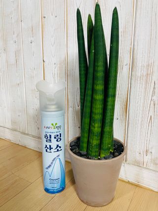 워나님님이 올린 리뷰 사진 2