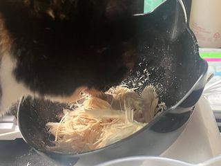 [펫시밀] 원물그대로 영양듬뿍 진공동결건조 치킨텐더100g, 열빙어트릿100g 강아지 고양이 간식 — 5점을 준 리뷰어가 2023년 5월 올린 사용 사진