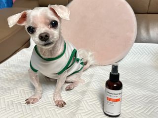 초코송이님이 올린 리뷰 사진 1