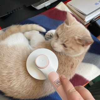 보니보니님이 올린 리뷰 사진 1