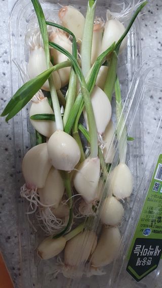 민난길님이 올린 리뷰 사진 2