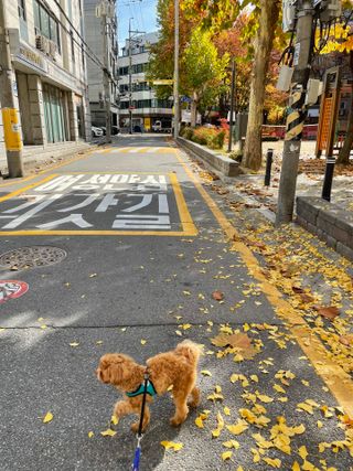 ehlove님이 올린 리뷰 사진 1