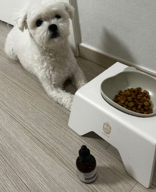 토블리님이 올린 리뷰 사진 2