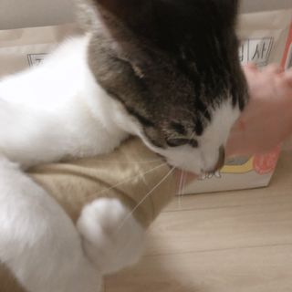 소뉴님이 올린 리뷰 사진 3